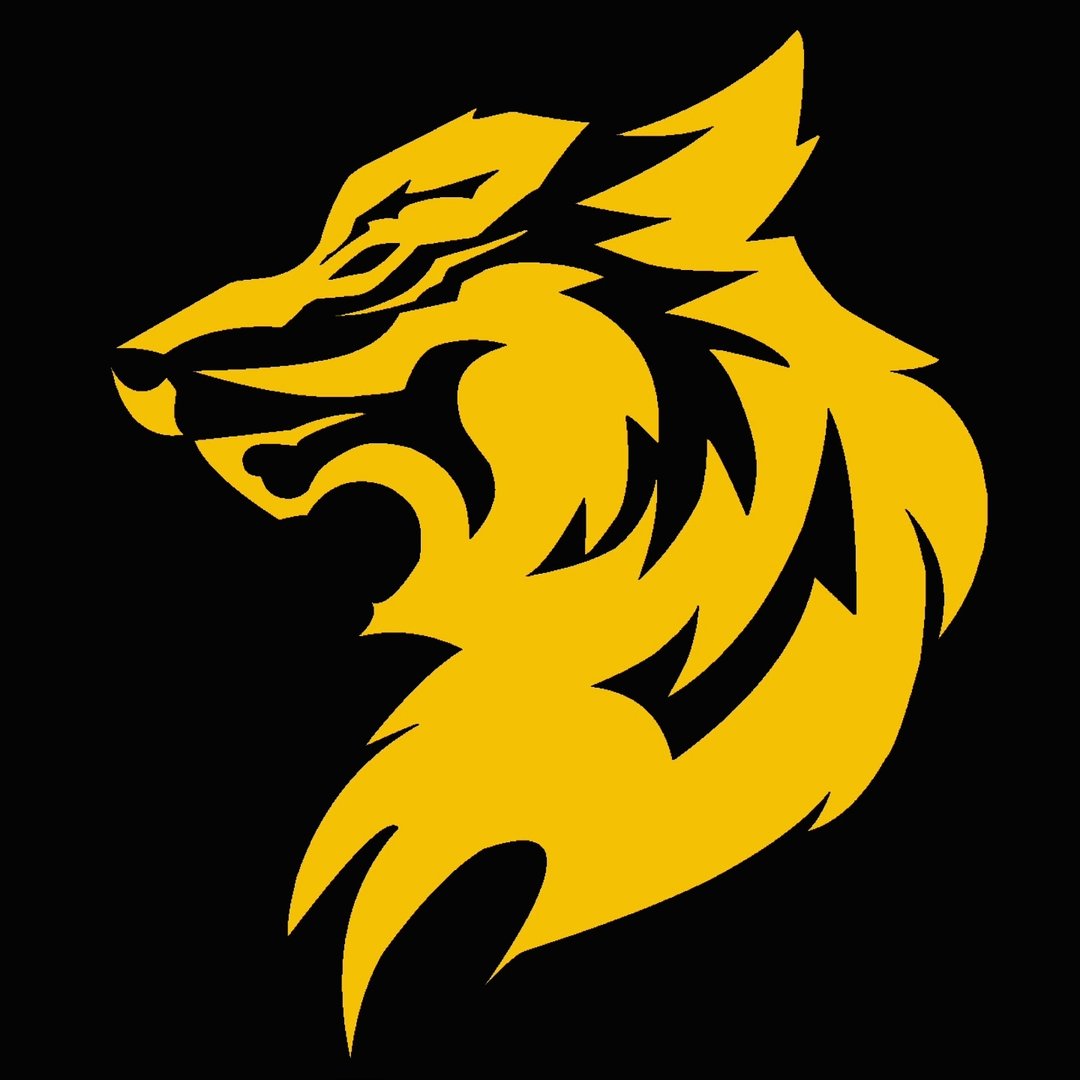 Voli